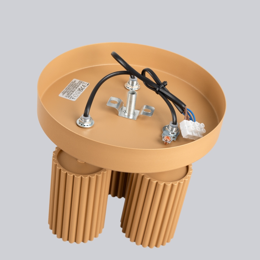 Stropna spot lampa KARBON 3xGU10/10W/230V zlatna