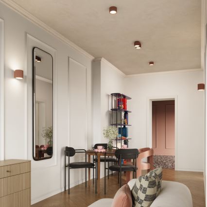 Spot svetiljka AURA 1xGX53/10W/230V 6 cm braon