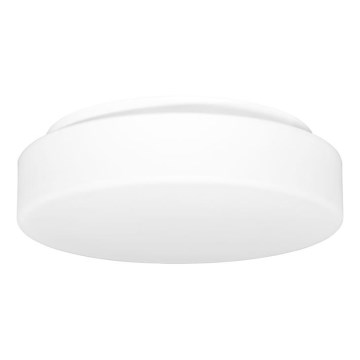 Spoljašnja plafonjera HECTOR 1xE27/60W/230V pr. 30 cm IP44 opal bela