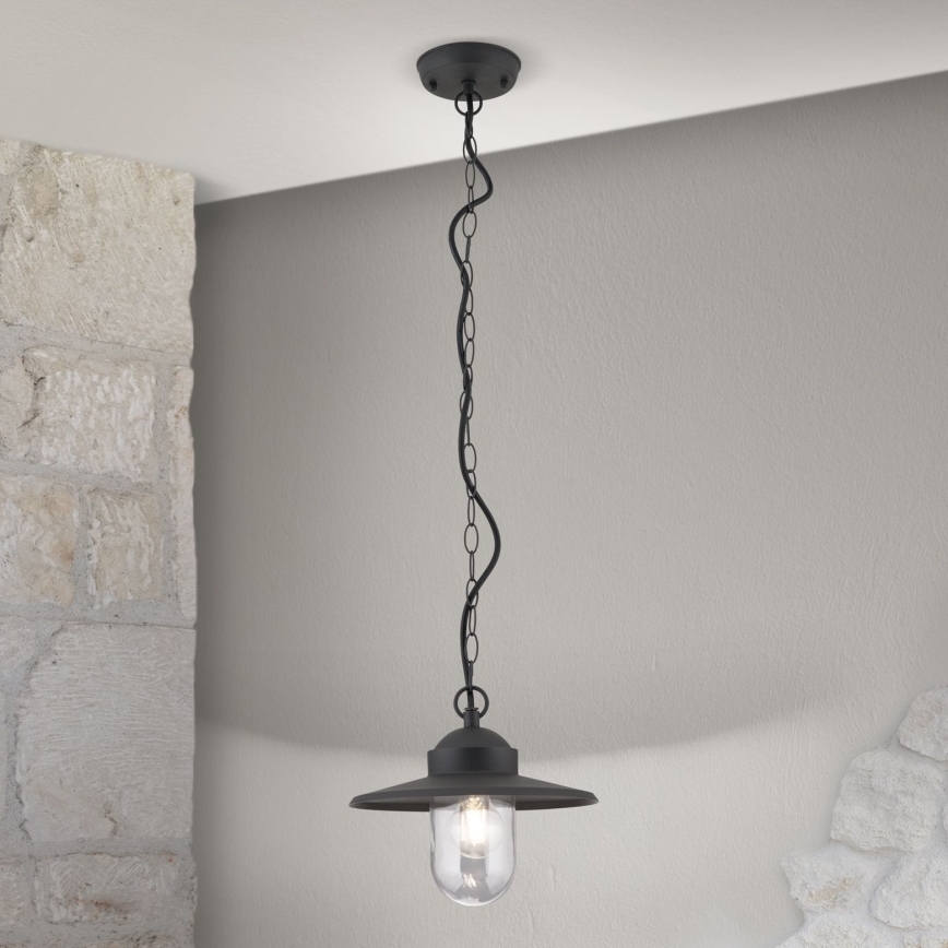 Spoljašnja viseća lampa EDWARD 1xE27/60W/230V IP44 crno