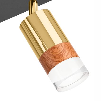 Spot svetiljka AURORA 4xGU10/10W/230V