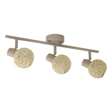 Spot svetiljka DEX 3xE14/10W/230V bež/krema