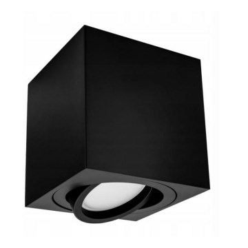 Spot svetiljka FEBE 1xGU10/30W/230V crna