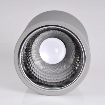 Spot svetiljka JUPITER 1xE27/20W/230V prečnik 16,5 cm siva