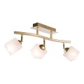 Spot svetiljka KLARA 3xE14/40W/230V zlatna