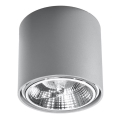 Spot svetiljka TIUBE 1xGU10-AR111/10W/230V