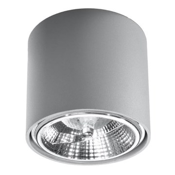 Spot svetiljka TIUBE 1xGU10-AR111/10W/230V