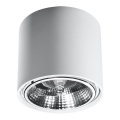 Spot svetiljka TIUBE1xGU10-AR111/10W/230V
