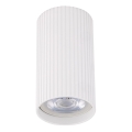 Spot svetiljka TUNE S 1xGU10/10W/230V 10 cm bela