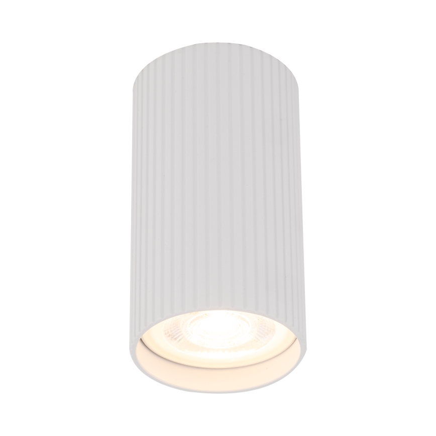 Spot svetiljka TUNE S 1xGU10/10W/230V 10 cm bela