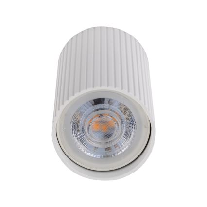 Spot svetiljka TUNE S 1xGU10/10W/230V 10 cm bela