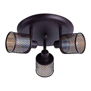 Spot svetlo CANABERA 3xE14/40W/230V