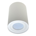 Spot svetlo CRIKO 1xGU10/30W/230V belo