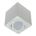 Spot svetlo FEBE 1xGU10/30W/230V belo