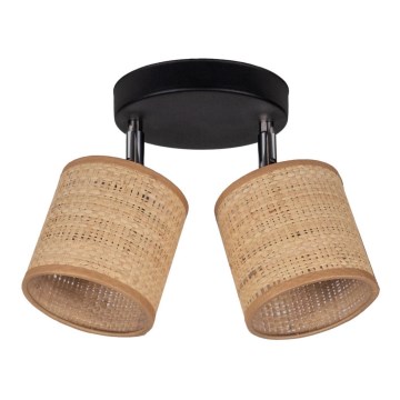 Spot svetlo IRMA 2xE14/40W/230V