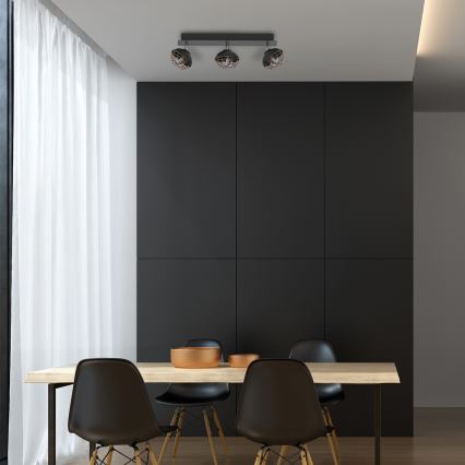 Spot svetlo LOGAN 3xE14/40W/230V