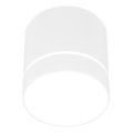 Spot svetlo TUBA 1xGU10/15W/230V bela