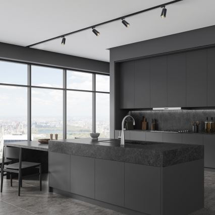 Spot svetlo za šinski sistem FLOWER 1xGU10/8W/230V crna