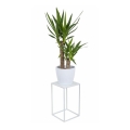 Stalak za cveće 40x24 cm beo