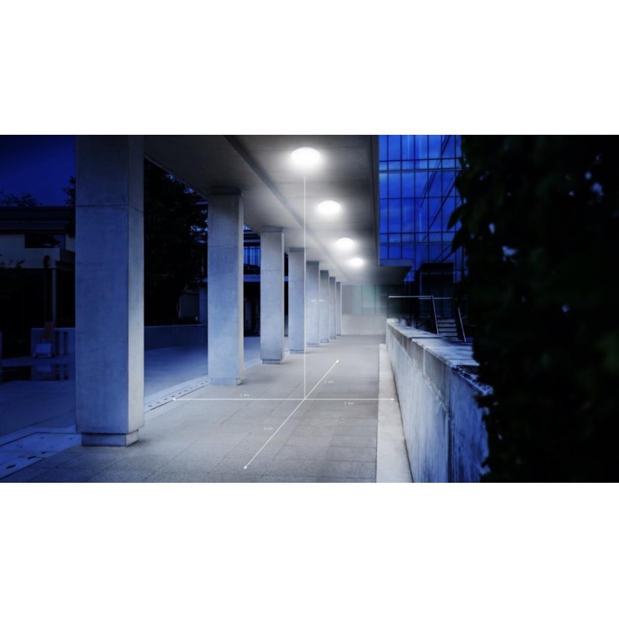 Steinel 035440 - LED spoljašnje plafonsko svetlo sa senzorom QUATTRO LED/10W/230V IP54