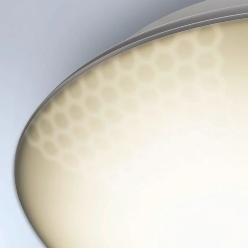 Steinel 035440 - LED spoljašnje plafonsko svetlo sa senzorom QUATTRO LED/10W/230V IP54