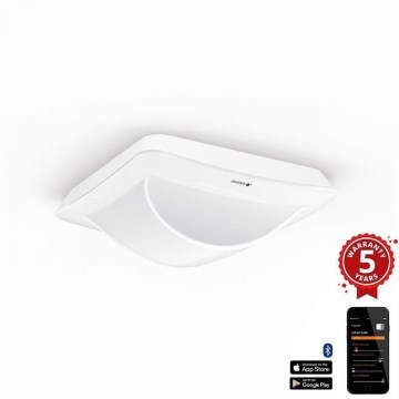 Steinel 058029 - Senzor prisutnosti Hallway DALI-2 APC beo