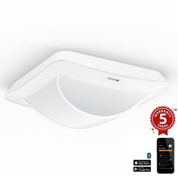 Steinel 066161 - Senzor prisustva HALLWAY beo