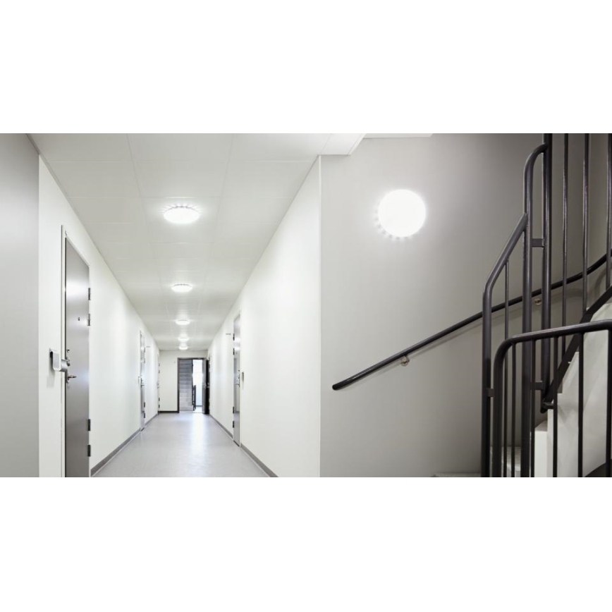 Steinel 068059 - LED plafonsko svetlo sa senzorom RS PRO S30 SC 25,8W/230V 3000K