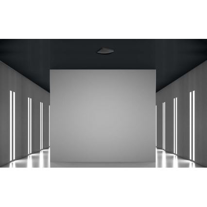 Steinel 068516 - Detektor prisustva TRUE PRESENCE KNX, crni