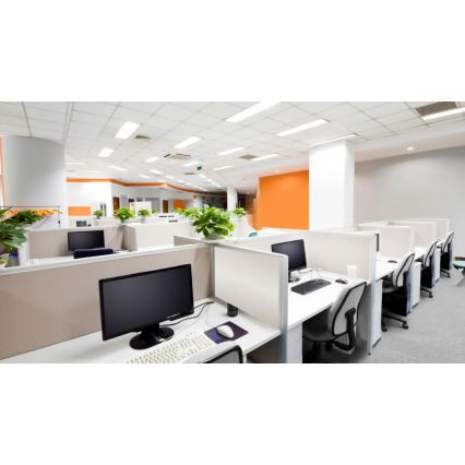 Steinel 079581 - detektor prisustva DualTech KNX bela