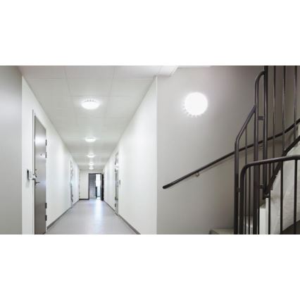 Steinel 079789- LED Spoljašnje plafonsko svetlo sa senzorom RS PRO S20 SC LED/15,7W/230V IP65 3000K