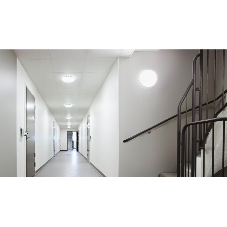 Steinel 081072 - LED plafonsko svetlo sa senzorom RS PRO S10 SC LED/9,1W/230V 4000K