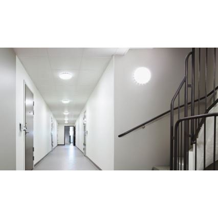 Steinel 081959 - KOMPLET 5x LED plafonsko svetlo sa senzorom RS PRO S20 SC LED/15,7W/230V 3000K