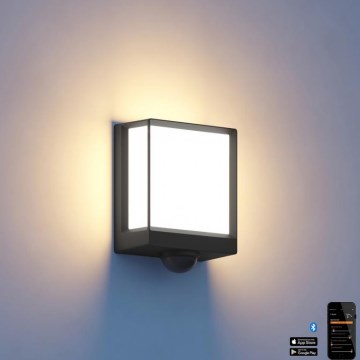 Steinel 085247 - LED prigušiva spoljašnje zidno svetlo sa senzorom L40SC LED/12,9W/230V