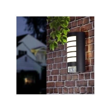 STEINEL 657819 - Spoljno svetlo sa senzorom L12 1xE27/60W/230V IP44