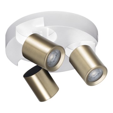 Stropna spot svetiljka LAURIN 3xGU10/10W/230V mesing/bela