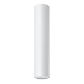 Stropno spot svetlo LAGOS 1xGU10/10W/230V 30 cm bela