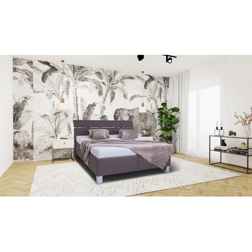 Tapacirani krevet ALIS 180x200 cm sa prostorom za odlaganje, bez dušeka, braon