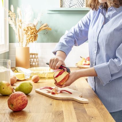 Tefal - Kuhinjska gulilica INGENIO nerđajući čelik/crna