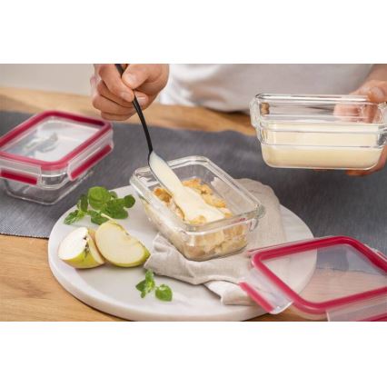 Tefal - Posuda za hranu 1,1 l MSEAL GLASS crvena/staklo