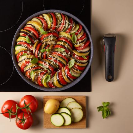 Tefal - Šerpa INGENIO NATURAL FORCE 20 cm