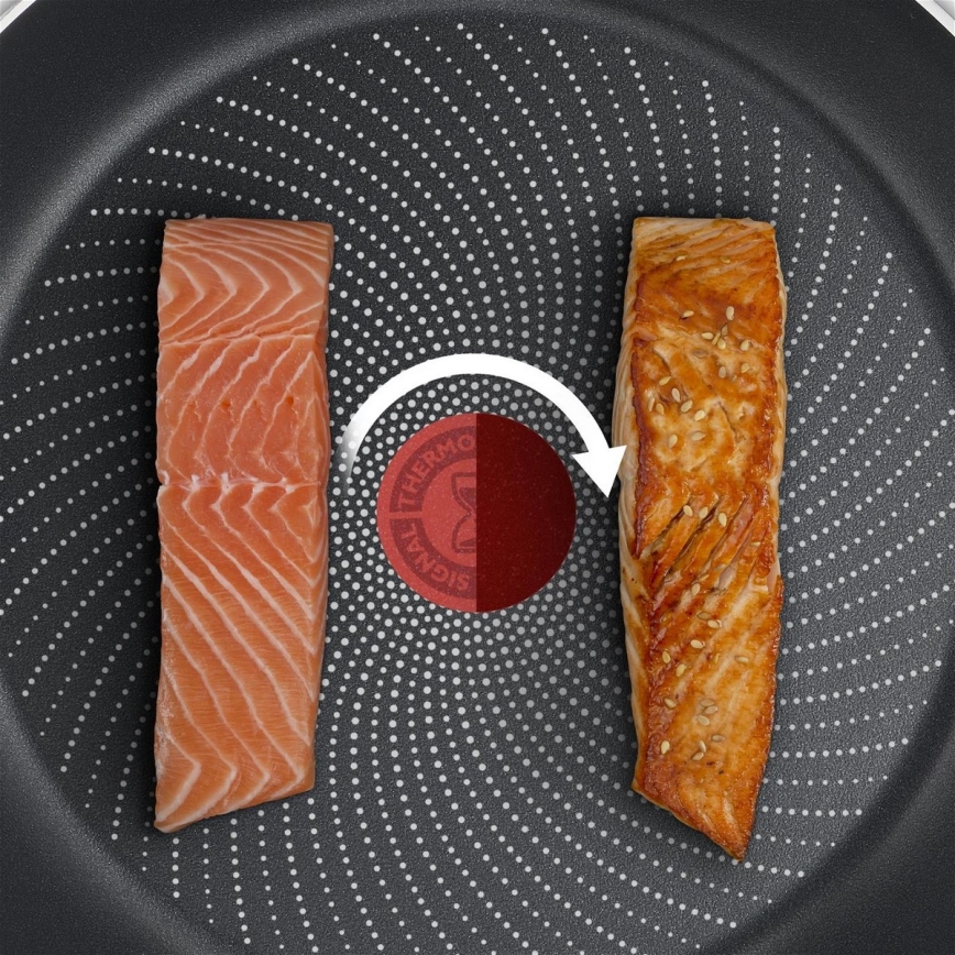 Tefal - Tiganj DELICIOUS 20 cm