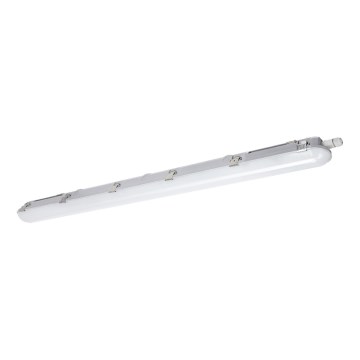 Tehnička LED fluorescentna svetiljka NEXFORCE LED/36W/230V 4000K IP66