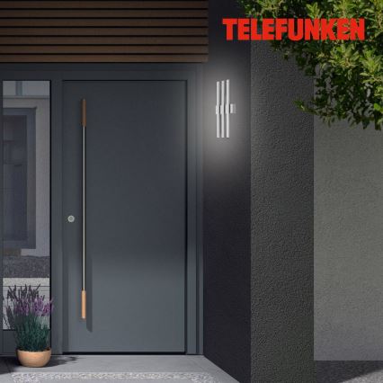 Telefunken 313304TF - LED spoljašnja zidna svetiljka 3xLED/4W/230V IP44