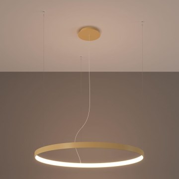 Thoro TH.174 - LED luster na sajli RIO LED/50W/230V CRI 90 3000K prečnik 78 cm zlatna
