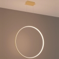 Thoro TH.175 - LED luster na sajli RIO LED/50W/230V CRI 90 3000K prečnik 78 cm zlatna