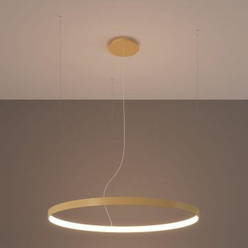 Thoro TH.216 - LED luster na sajli RIO LED/30W/230V CRI 90 3000K prečnik 55 cm zlatna