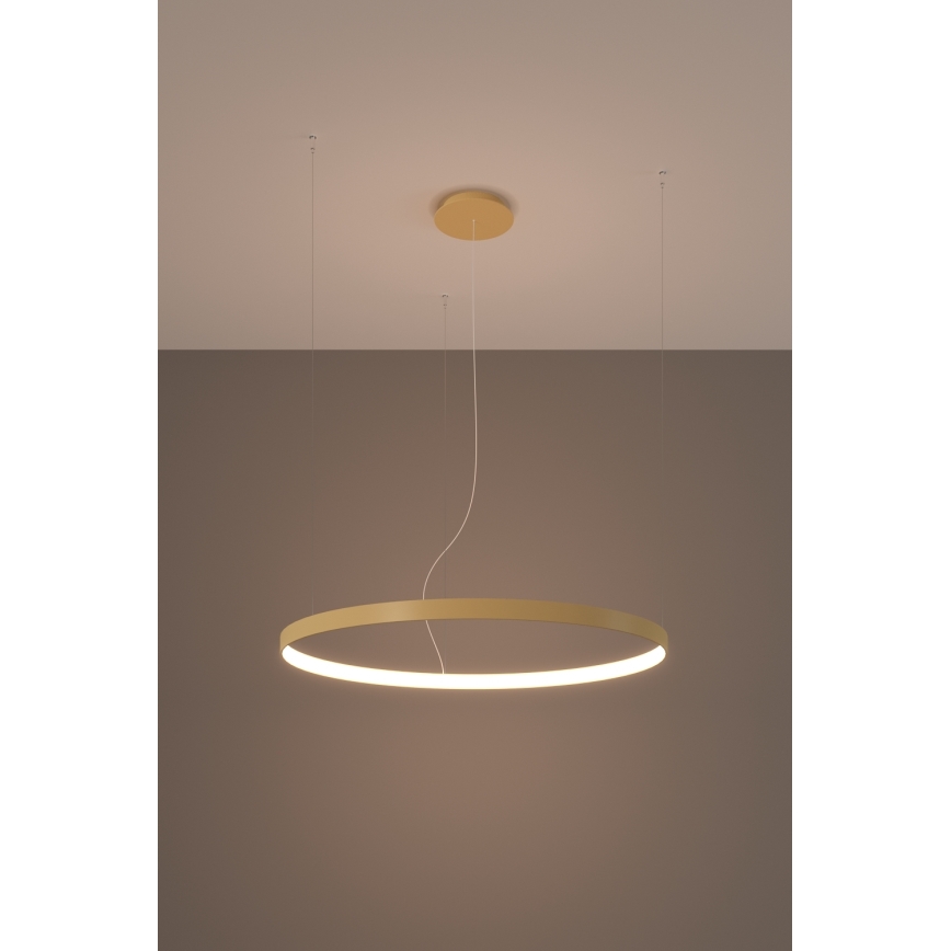 Thoro TH.216 - LED luster na sajli RIO LED/30W/230V CRI 90 3000K prečnik 55 cm zlatna