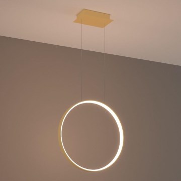 Thoro TH.220 - LED luster na sajli RIO LED/30W/230V CRI 90 3000K prečnik 55 cm zlatna