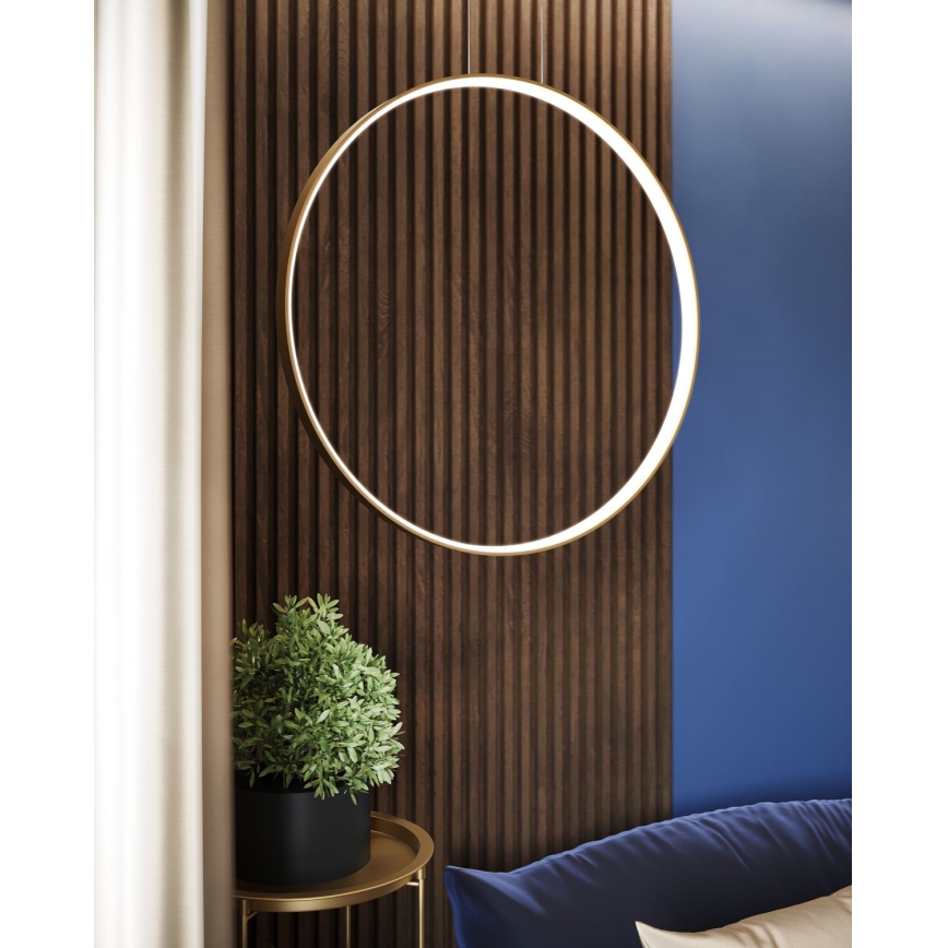 Thoro TH.220 - LED luster na sajli RIO LED/30W/230V CRI 90 3000K prečnik 55 cm zlatna